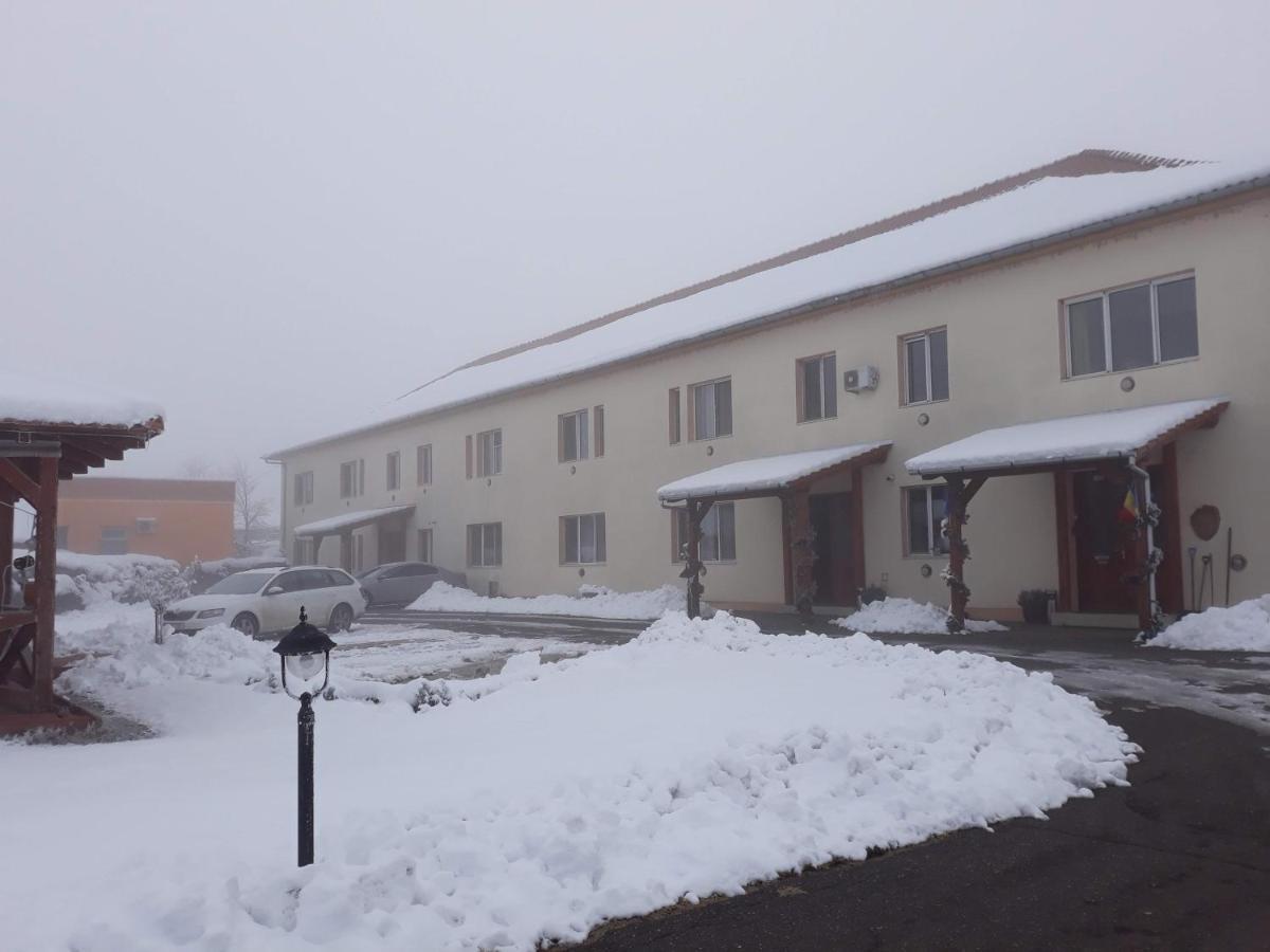 Vila Zoppas Inn Sinnicolau Mare ภายนอก รูปภาพ